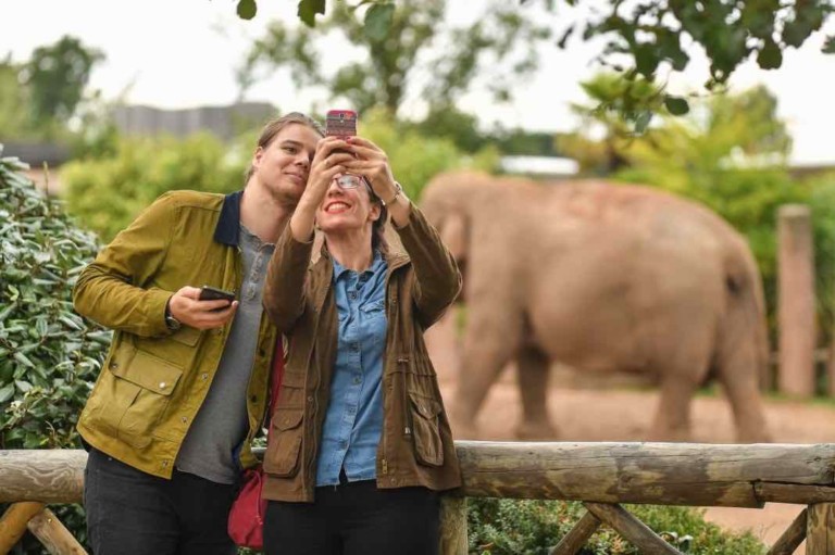 couple take selfie at chester zoo