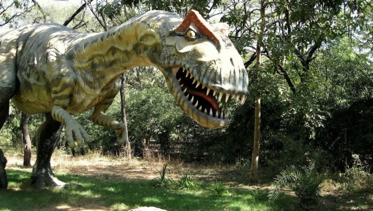 allosaurus model fossil museum india gujurat