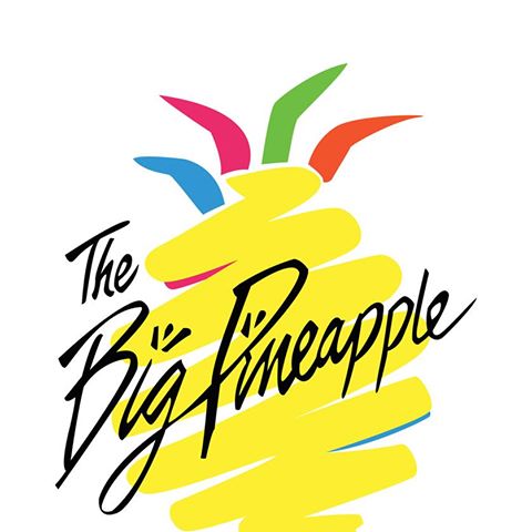 big pineapple queensland