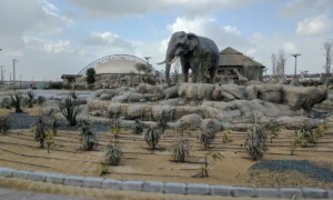 Dubai safari meraas parques reunidos