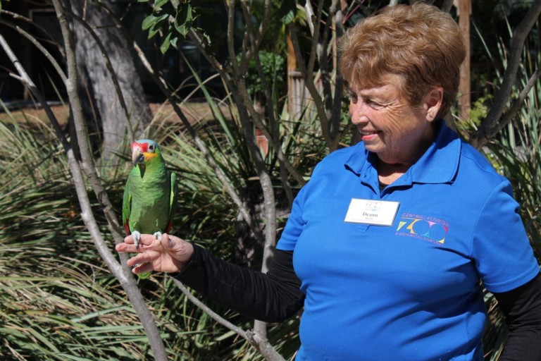 Central Florida Zoo expansion masterplan