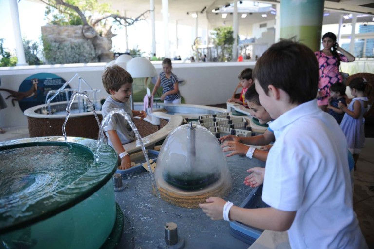 river of grass exhibition Frost Science