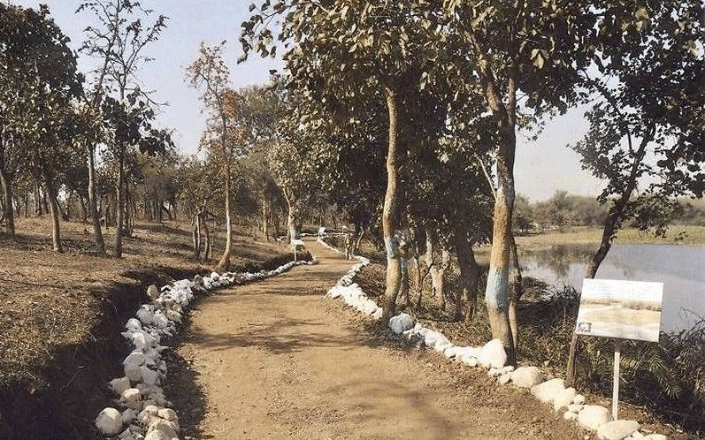 Revised Gorewada Zoo masterplan sent for approval blooloop