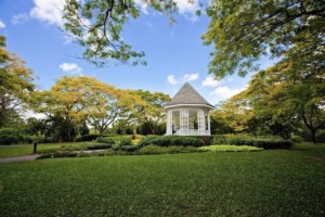 Singapore Orchid Garden Botanical