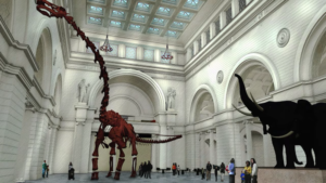 Field Museum