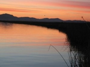 napa sonoma marshes in California