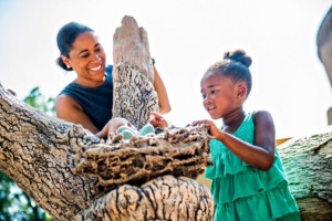 Wildwoods nature stories Fernbank Museum of Natural History