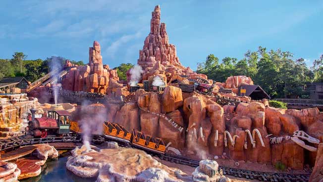 rollercoaster can help pass kidney stones big thunder mountain railway disney magic kingdom