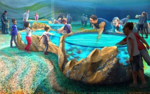 Touching pool at St. Louis Aquarium at Union Station