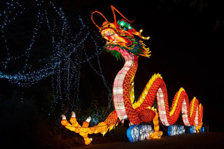 chinese dragon Dublin Zoo Ireland