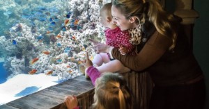 parent and toddler at sealife convious