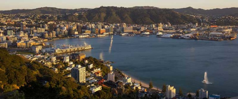 wellington city council approved zip lines