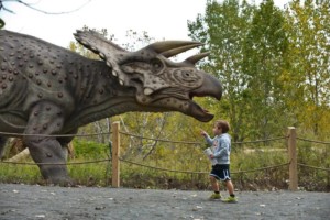 Field Station: Dinosaurs triceratops