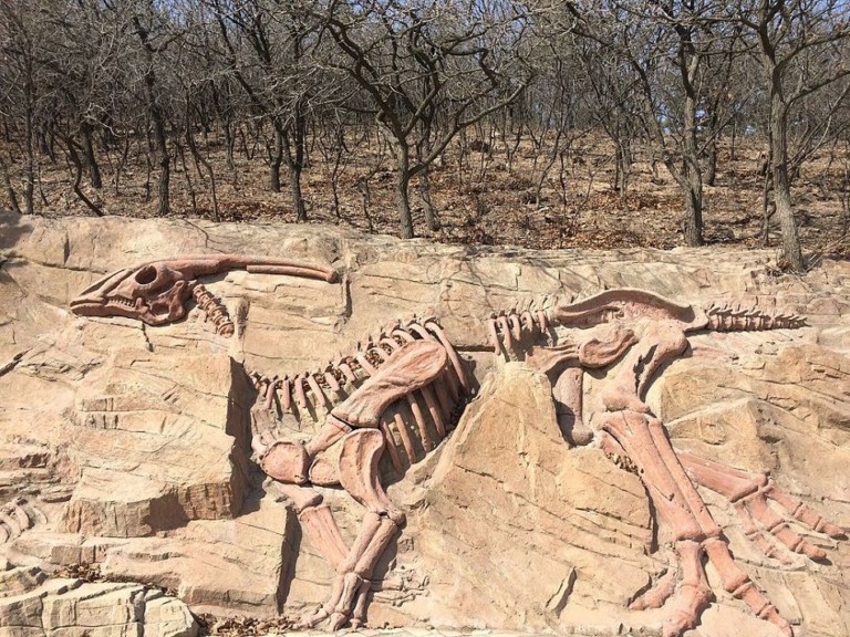 Dinosaur. Theme Park. Dinosaur theme park. China. Yunyang Pu'an Dinosaur Geopark. Fossils. Fossil.