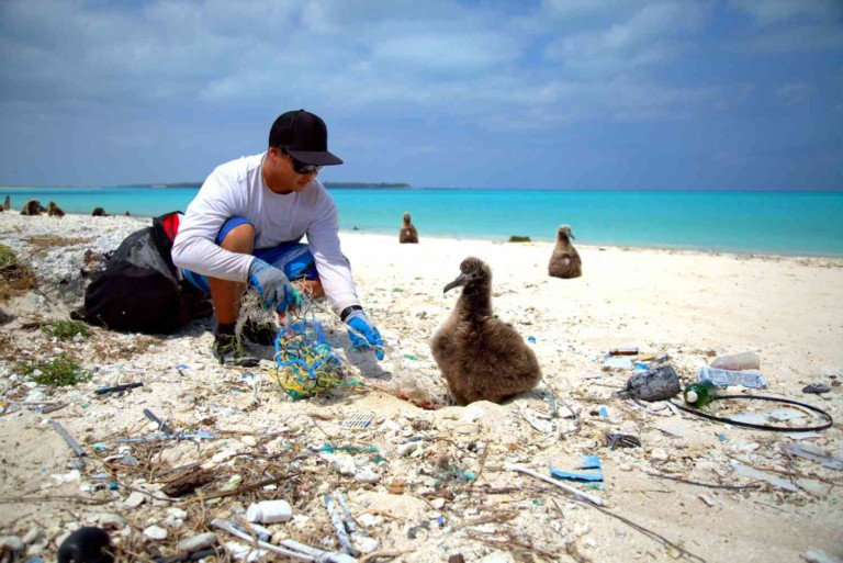 man disentangles a baby albatross from marine litter world oceans day