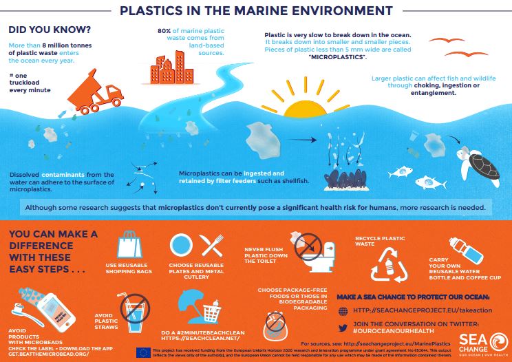 infographic on plastic pollution world oceans day