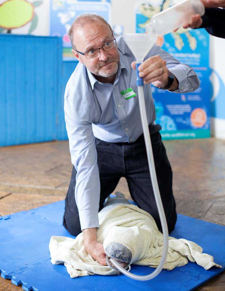 andy bool feeding seal pup at cornish seal sanctuary