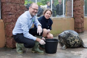 andy bool of seal life trust with seal at cornish seal sanctuary