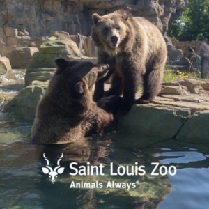 Saint Louis Zoo Association complex purchase for conservation and care of endangered and threatened species.