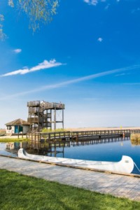 Point pelee national park tower