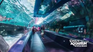Ripley's Aquarium at Myrtle Beach.