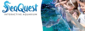 Seaquest interactive aquarium