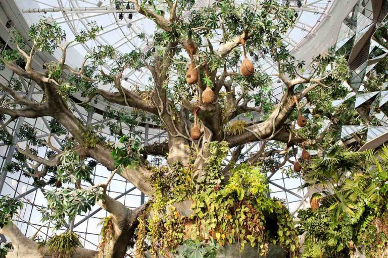 the green planet biome city walk dubai zooceanarium a