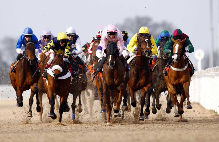 geat leighs racecourse essex jonathan rounce petersham group