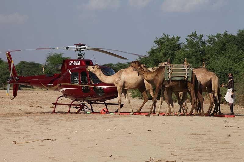 An interview with Jonathan Rounce, Petersham Group | blooloop