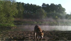 Chester Zoo nature reserve