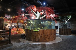 Greater Cleveland Aquarium renovation project.