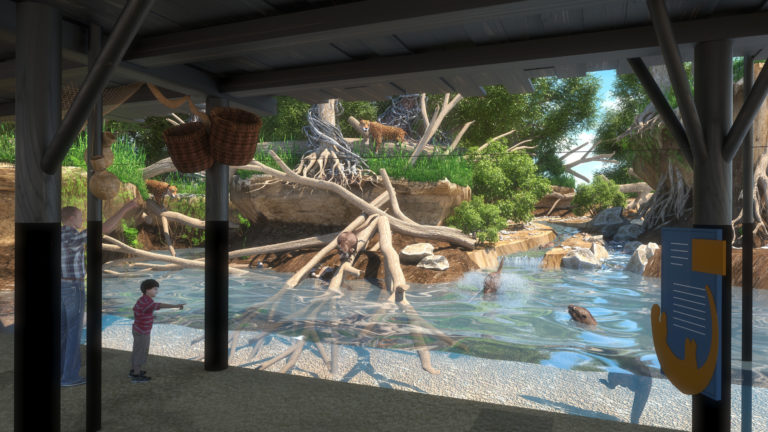 A rendering of the Pantanal - Trail of the Jaguar exhibit coming in 2020.