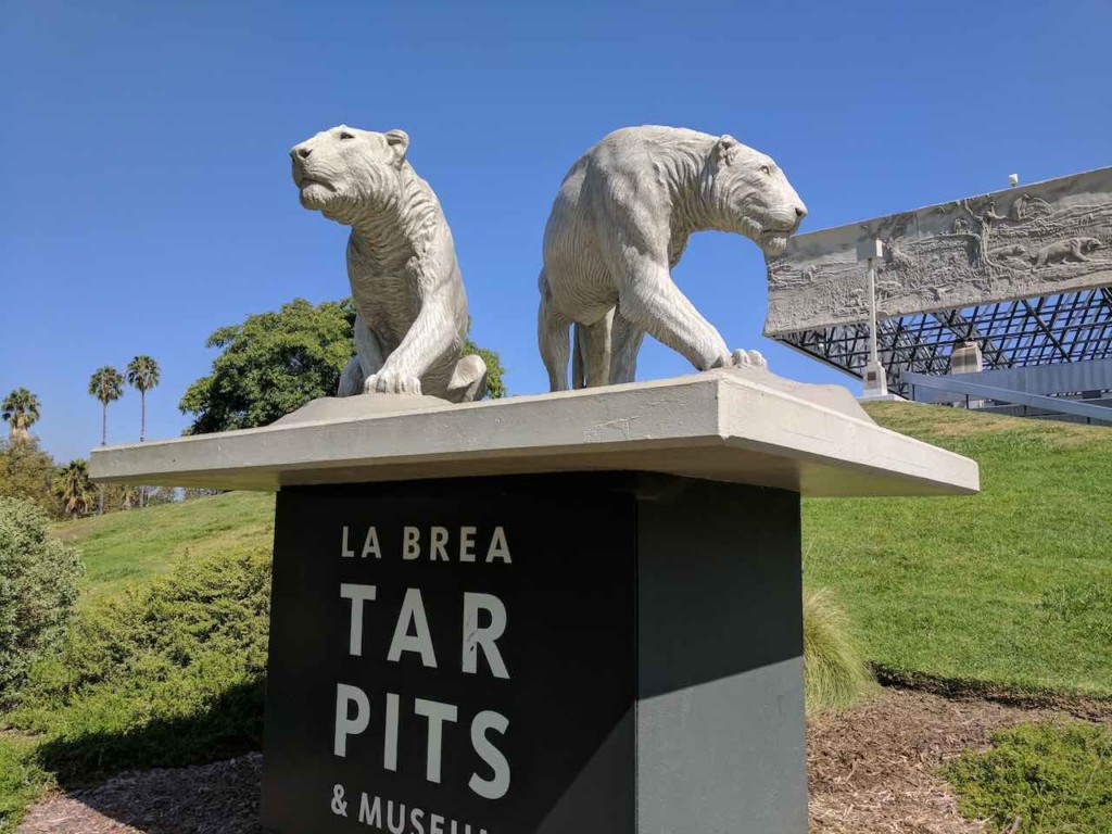 la brea tar pits and museum cave lion sculptures