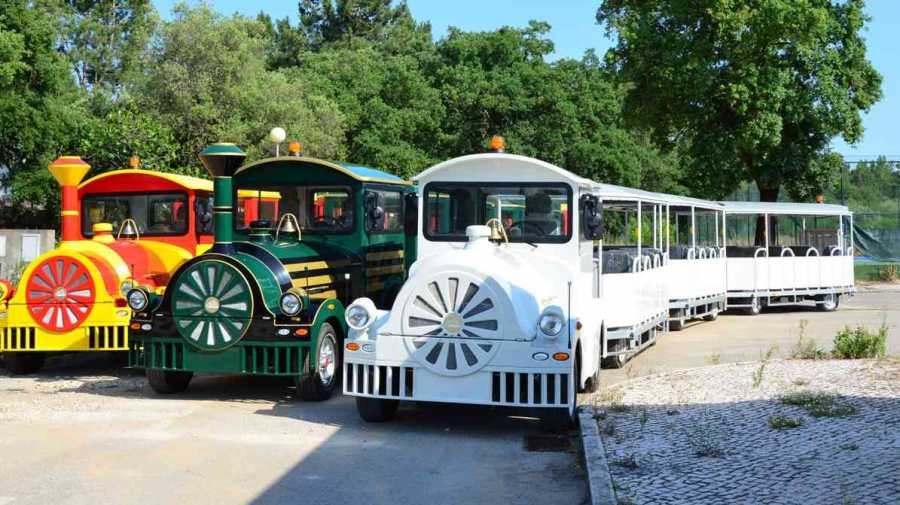 Severn Lamb land trains