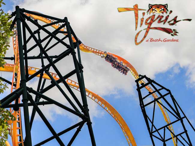 tigris busch gardens