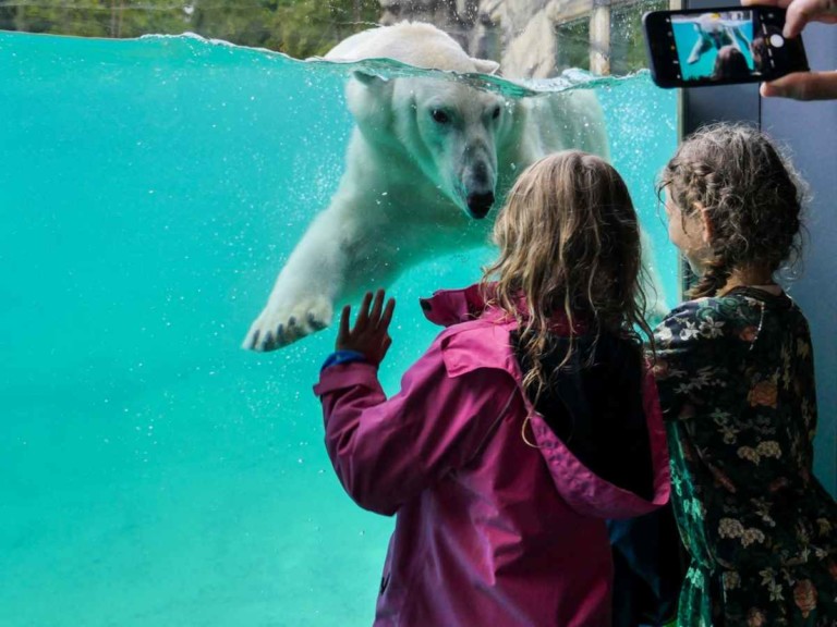 girls look at polar bear in Polarium, Zoo Rostock