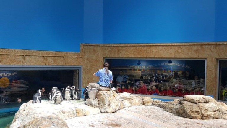 Essex-County-Turtle-Back-Zoo-Penguin-Exhibit