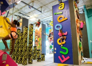 Funtopia Naperville, Walltopia