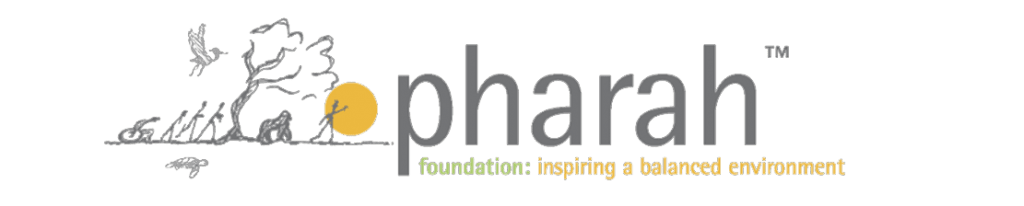 Pharah Foundation Inspiration