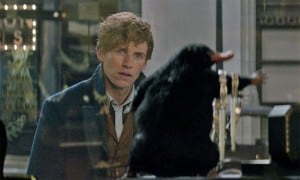 Fantastic Beasts Warner Bros niffler