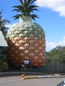 big pineapple australia