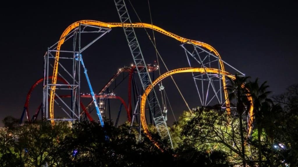 tigris at night busch gardens tampa