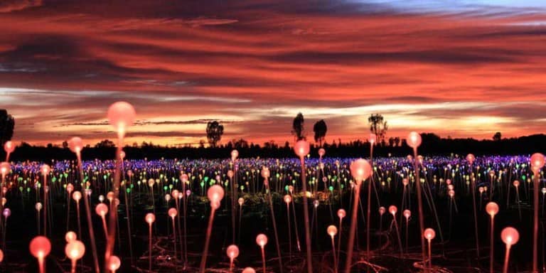 Artainment: Bruce Munro: Field of Light at Sensorio