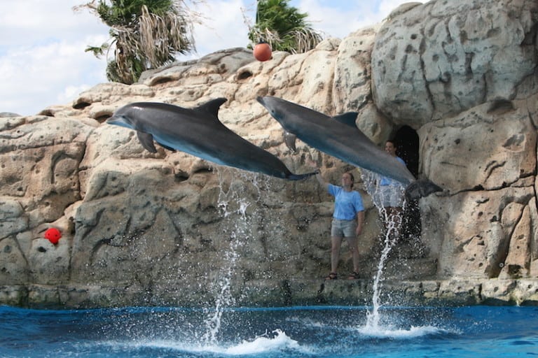 texas state aquarium