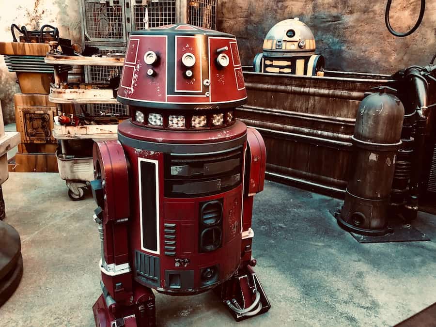 The droid bath at Droid Depot blooloop