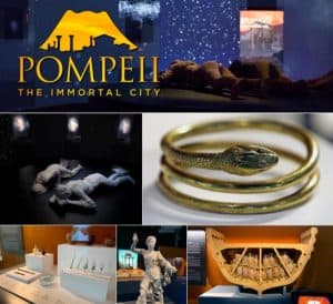 EDG Exhibits Development Group pompeii