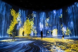 teamlab shanghai exhibit