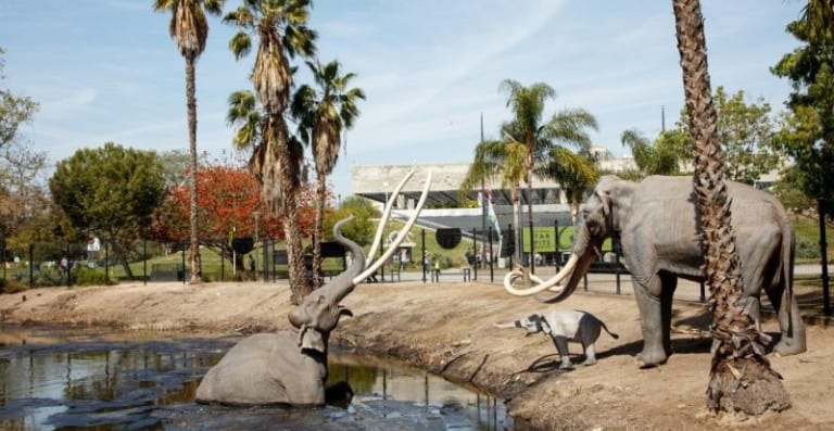 la brea tar pits