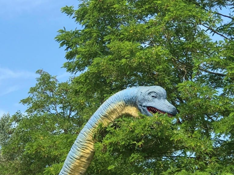 Themebuilders Dino Splash Plopsaland