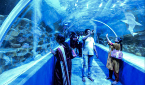 VGP-marine kingdom aquarium visitors india.jpg